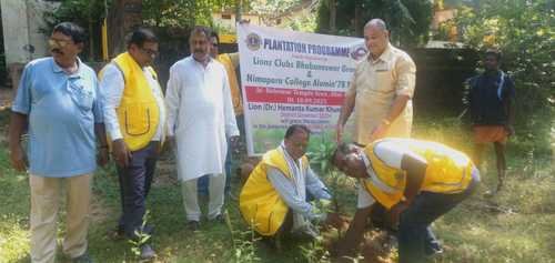 Plantation Program by LCB Geen